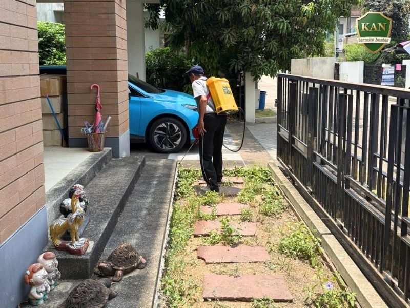 บริการ Pest Control กำจัดปลวก มด แมลงสาบ หนู อบฆ่าเชื้อโรคครบวงจร บริการ Pest Control กำจัดปลวก มด แมลงสาบ หนู อบฆ่าเชื้อโรคครบวงจร