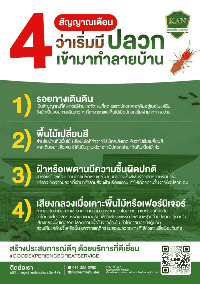 4 สัญญาณเตือน ปลวกเข้าบ้าน