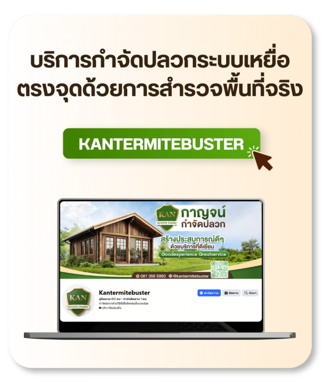 facebook Kantermitebuster